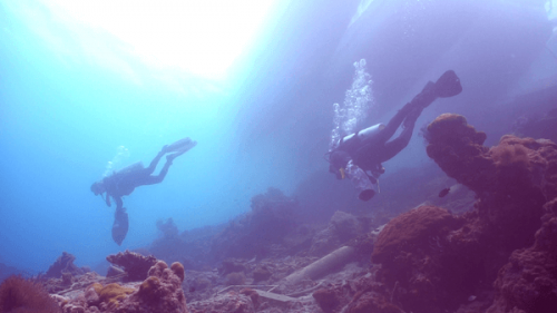 Melihat Lebih Luas Dunia Menyelam yang Tidak Hanya Itu-itu Saja